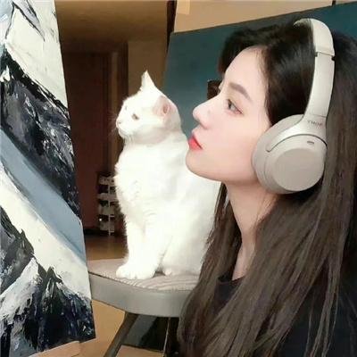 里约之路